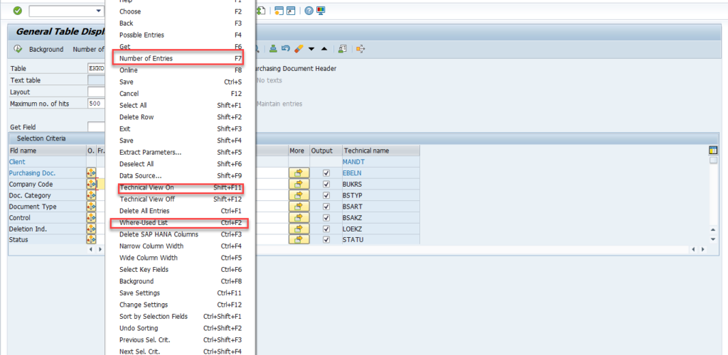 SE16N SAP - Technical view on