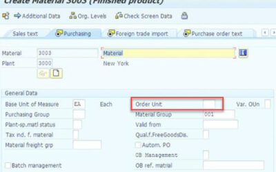 What is an Order Unit in SAP MM?