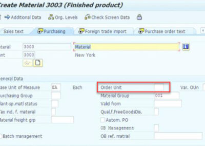 What is an Order Unit in SAP MM?