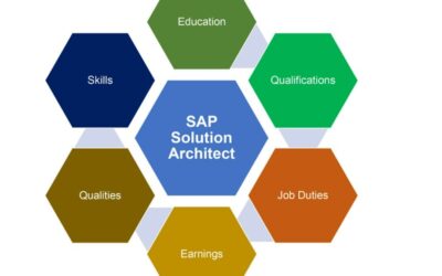 SAP Solution Architect