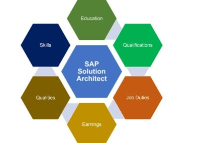 SAP Solution Architect