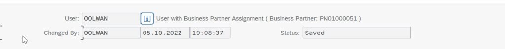 User with Business Partner Assignment sap